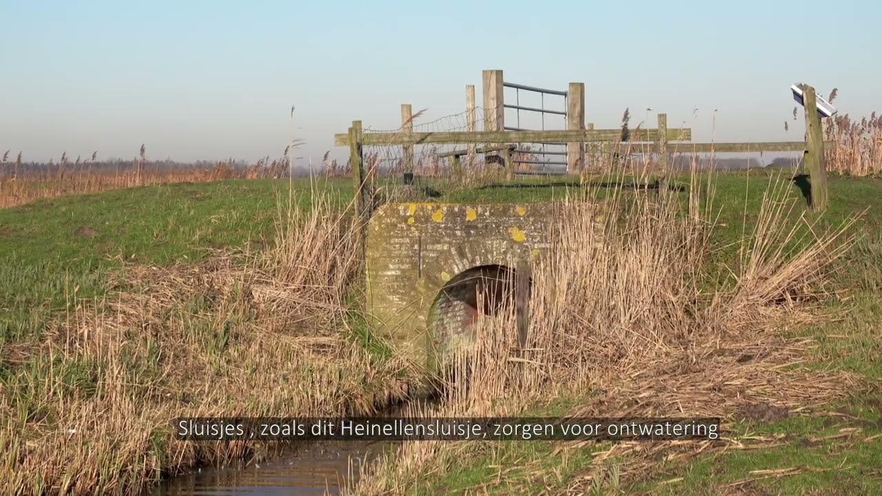 De waaien in Eemland