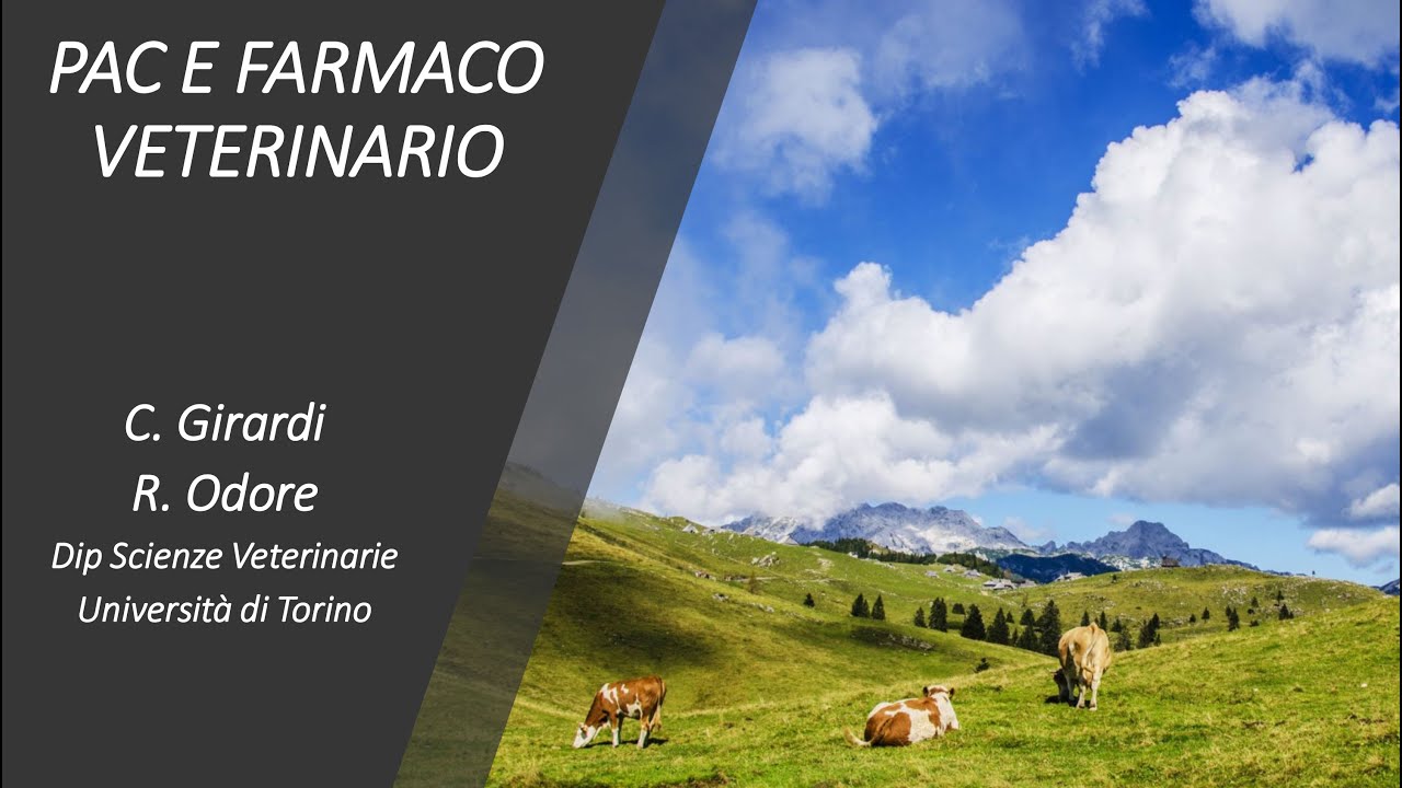 PAC e farmaco veterinario