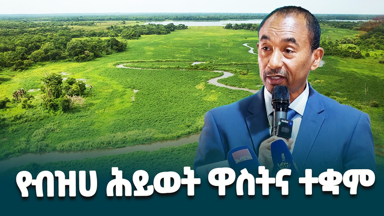 ባለስልጣኑ የኢትዮጵያ ብዝሃ የቱሪዝም ሀብት በመጠበቅ ጉልህ ሚና ተጫውቷል-  የቱሪዝም ሚኒስትር ዴኤታ አቶ ስለሺ ግርማ@ethiopiannewsagency