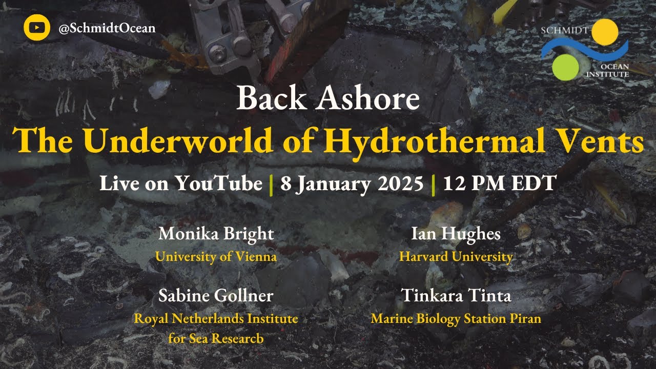 Back Ashore: The Underworld of Hydrothermal Vents