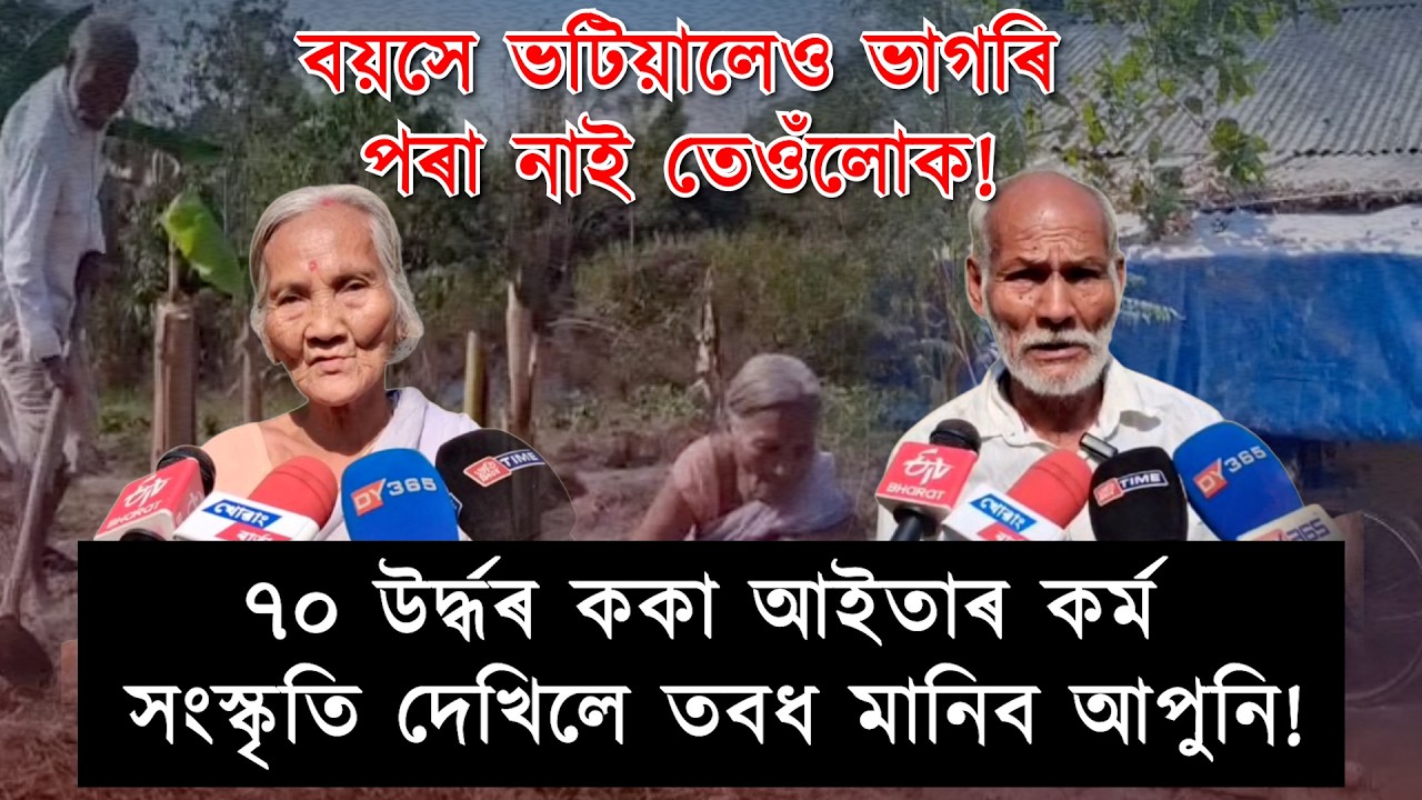 ভাগৰা নাই! চৰকাৰী আঁচনিৰ পৰা বঞ্চিত খোৱাঙৰ ৭০ উৰ্দ্ধৰ ককা আইতাৰ কৰ্ম সংস্কৃতি!