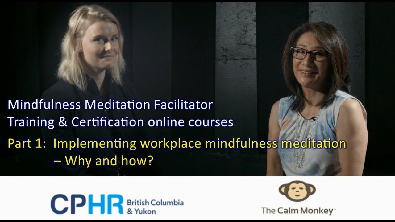 Meditation Facilitator Training - Part 1: Implementing workplace meditation – why and how?