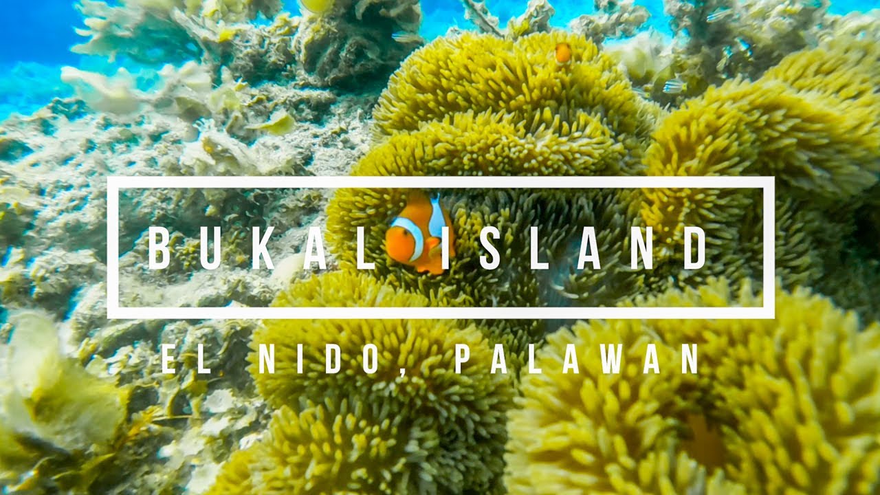 WE EXPERIENCE ALONE ON BUKAL ISLAND EL NIDO PALAWAN | KAYAKING | SNORKELING | CLEAN UP DRIVE