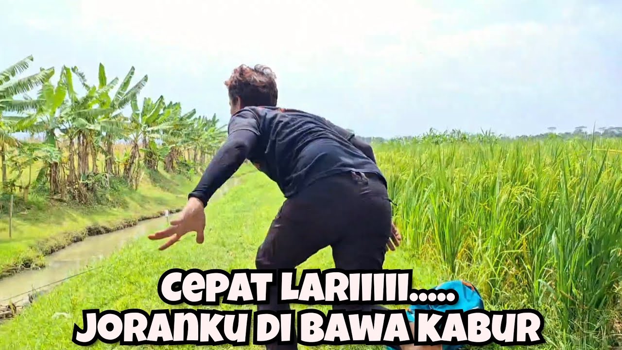 SAMPAI NGOS NGOSAN MANCING DI SUNGAI INI