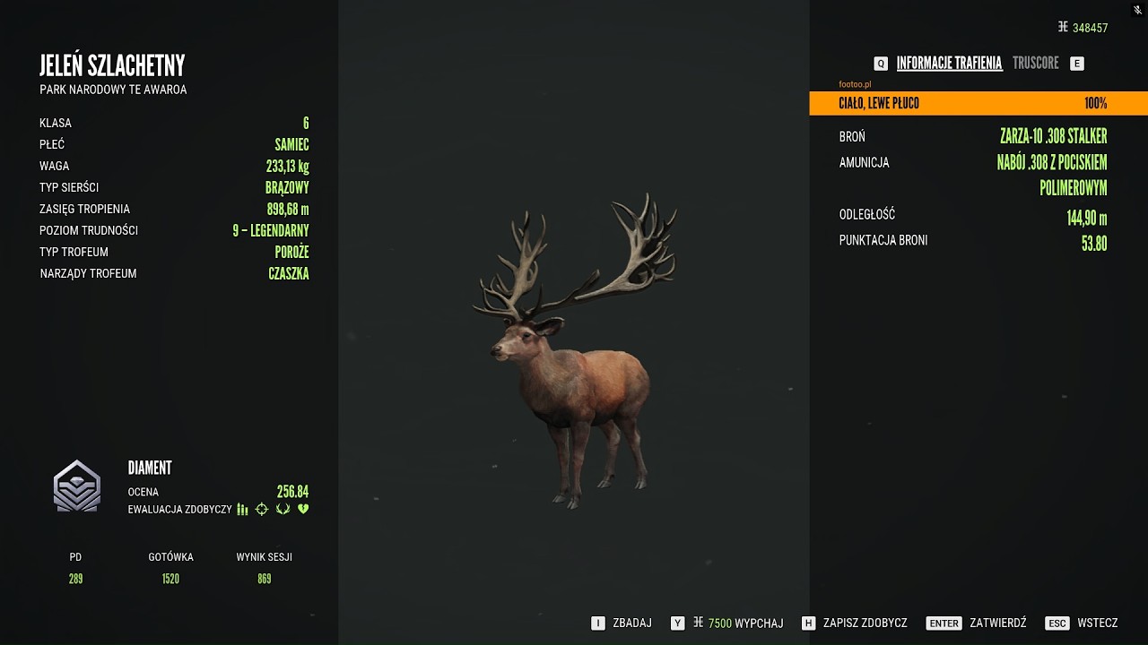 The Hunter: Call of the Wild | LIVE – COTW