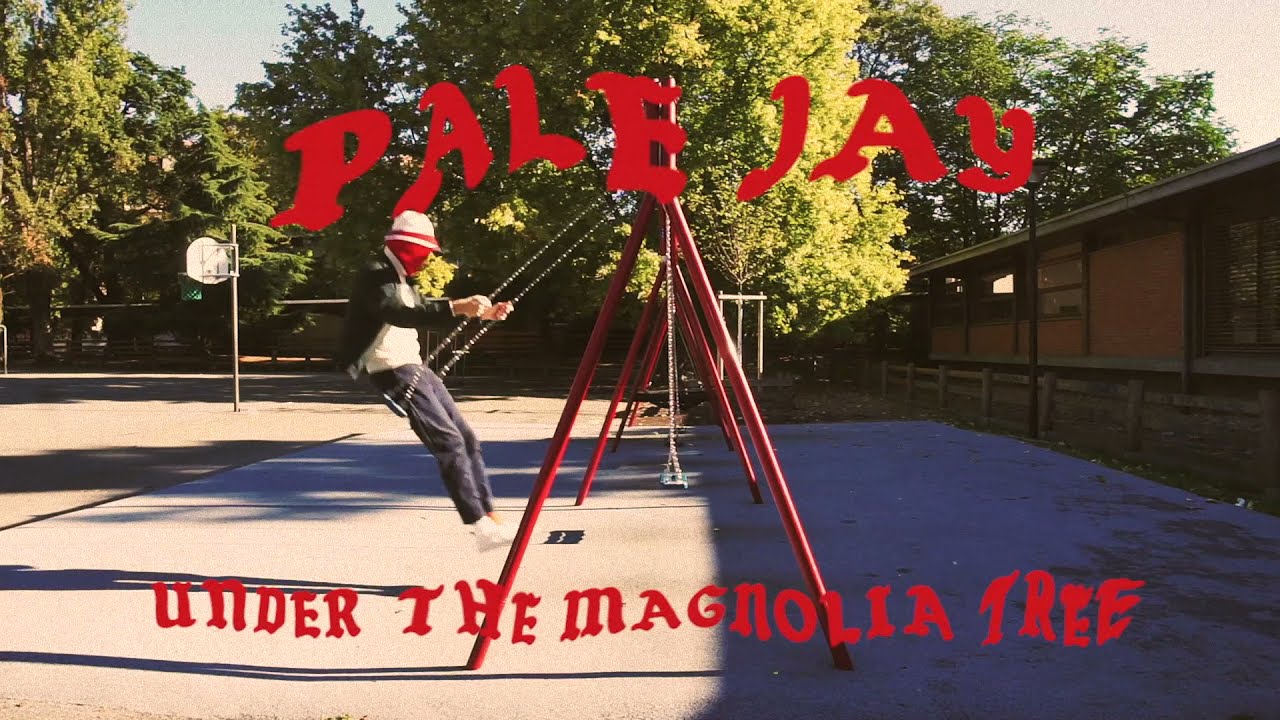 Pale Jay-Under The Magnolia Tree  [OFFICIAL VISUALIZER]
