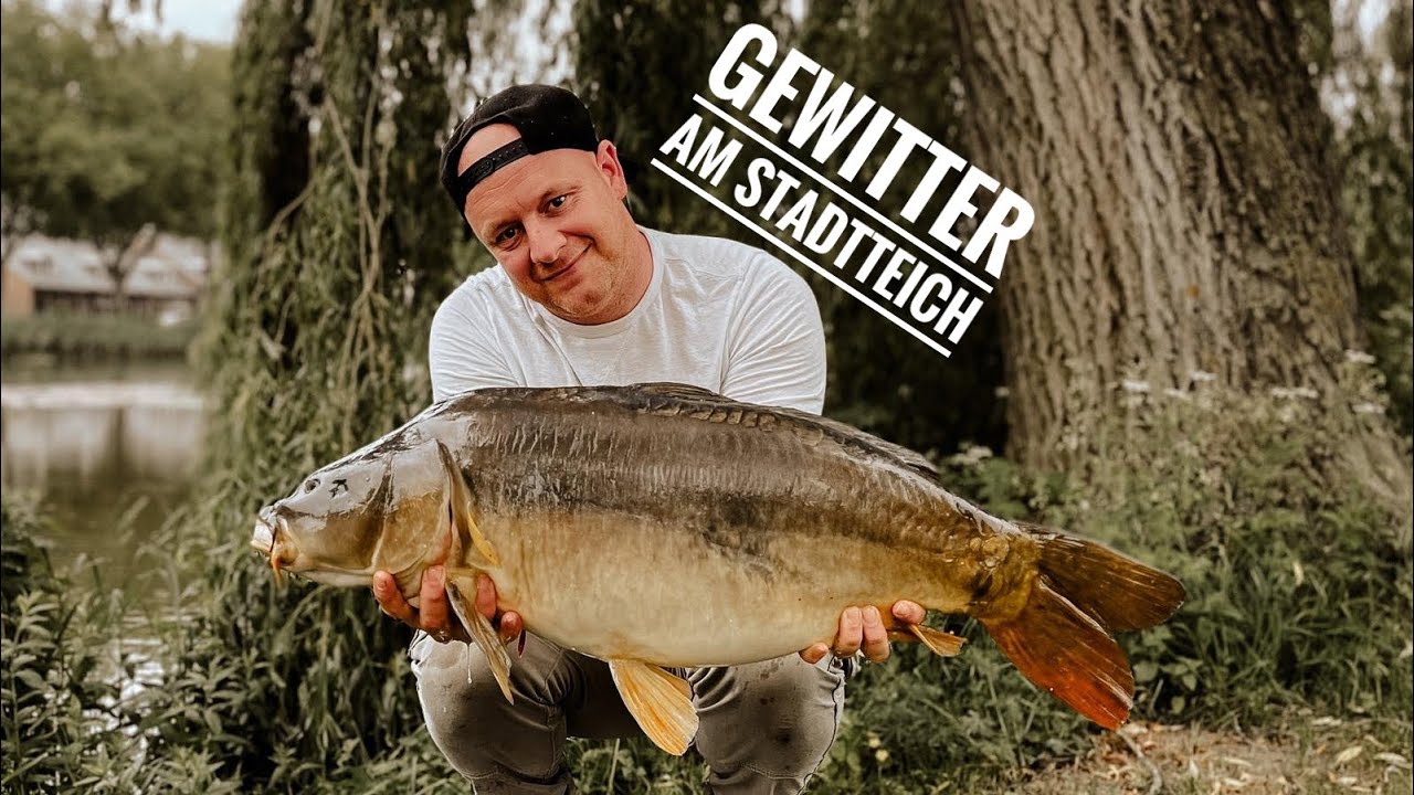 Gewitter am Holländischen Stadtteich  // Die Fische drehen durch // Karpfen Ultras //  Tagebuch #77