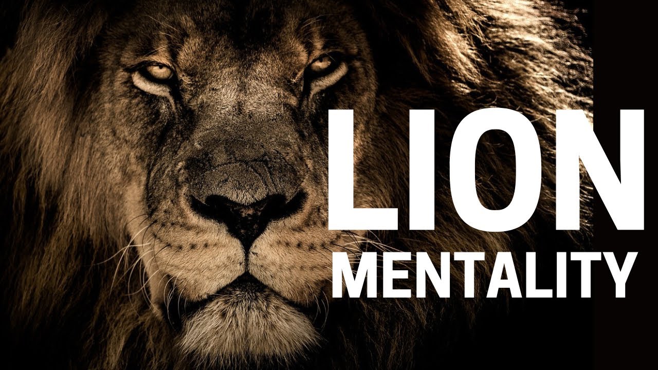 LION MENTALITY | MOTIVATIONAL VIDEO #lion #motivation