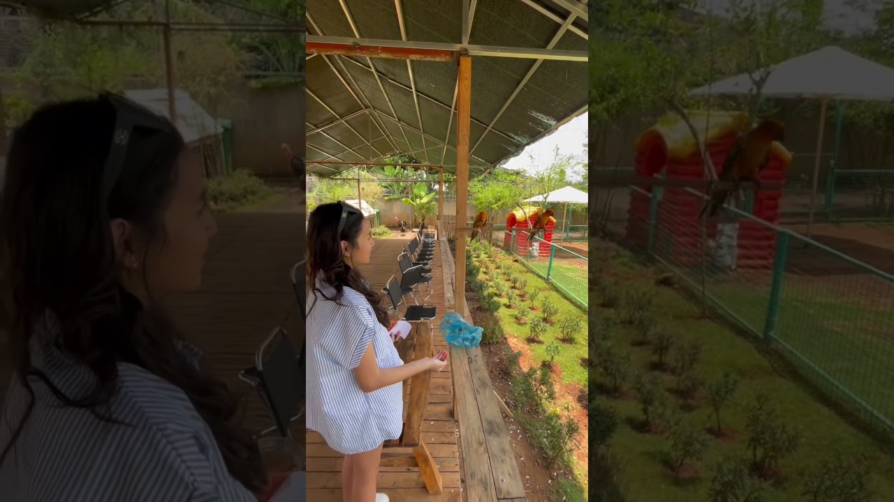Zoocamping in DakLak🥰 #xuhuong #xh #dulichvietnam #dulich #dulichdaklak