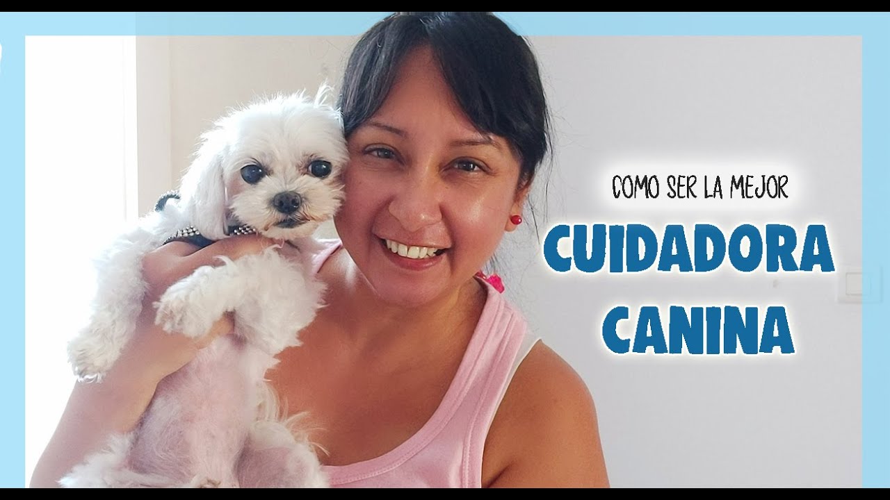 QUIERES CUIDAR PERROS EN TU CASA? 🐶 Esta es mi experiencia como dog nanny!