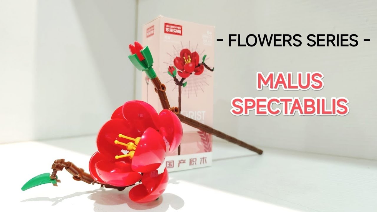 Unboxing & Build Toy Micro Brick Malus spectabilis Flower/ Mainan Micro Brick Flower series