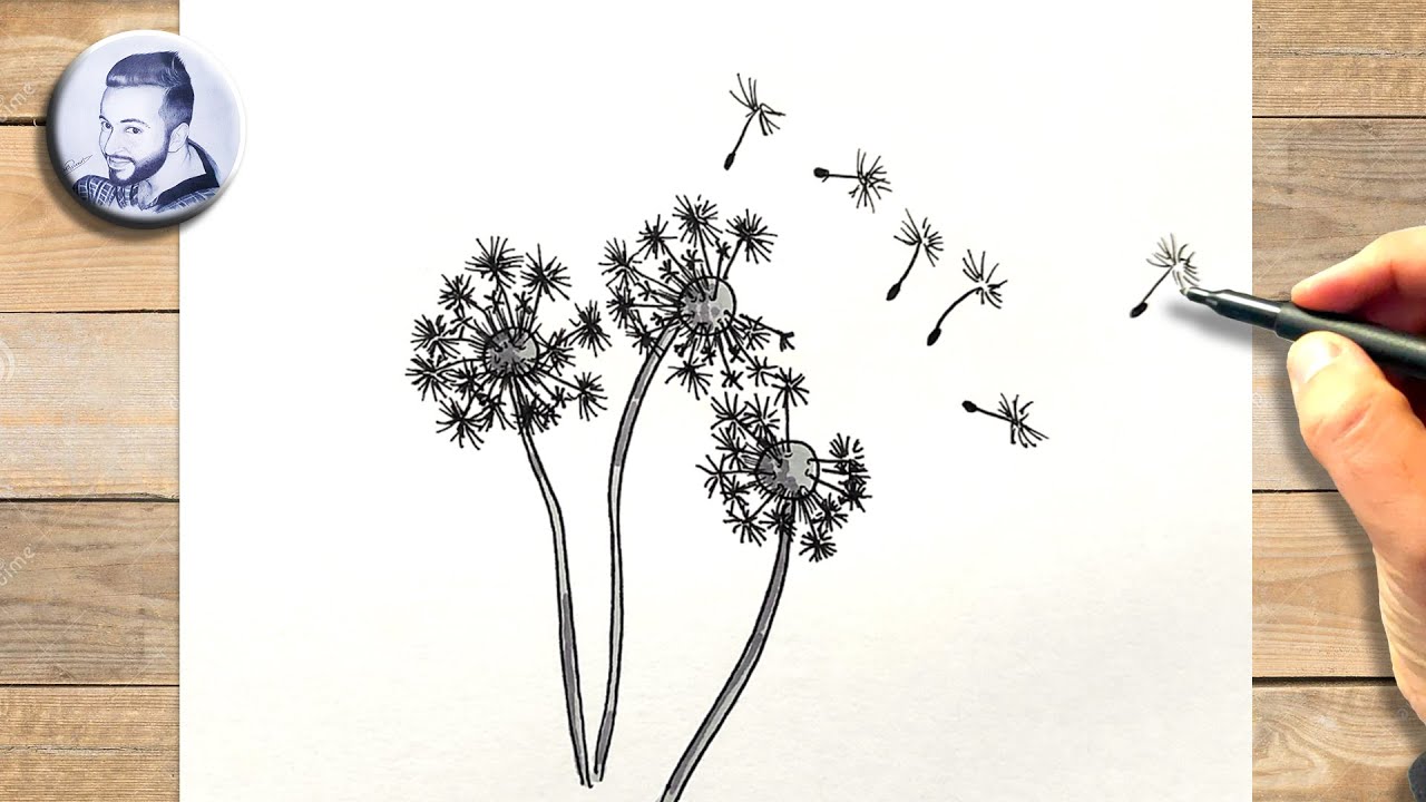 Comment dessiner une fleur de pissenlit facile