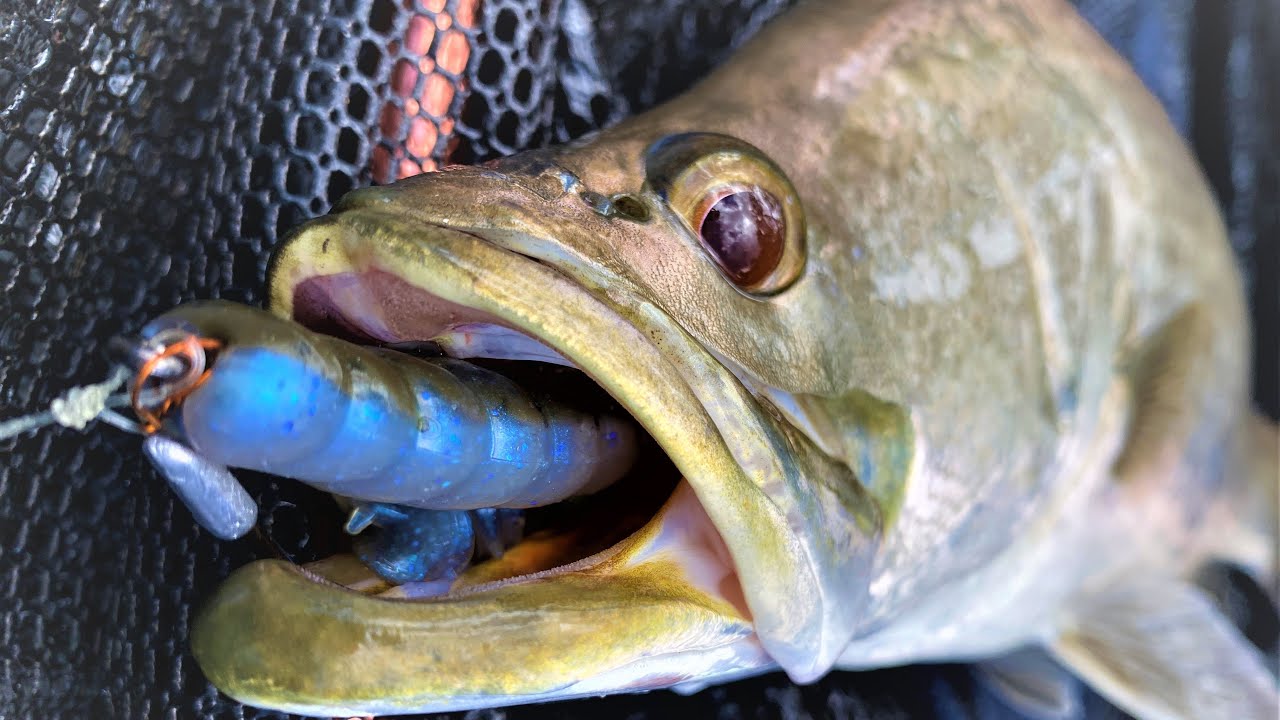 Skip Casting Barramundi... Как оснастить мягкие пластиковые приманки без водорослей