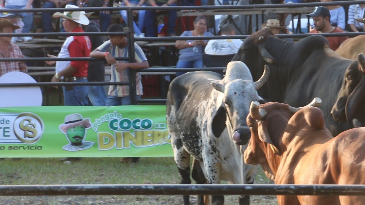 Toros y Montas, Jaripeo Sonsonate 2026