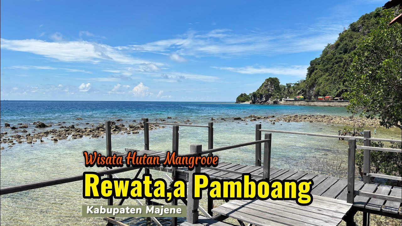 Wisata hutan Mangrove rewata,a pamboang majene