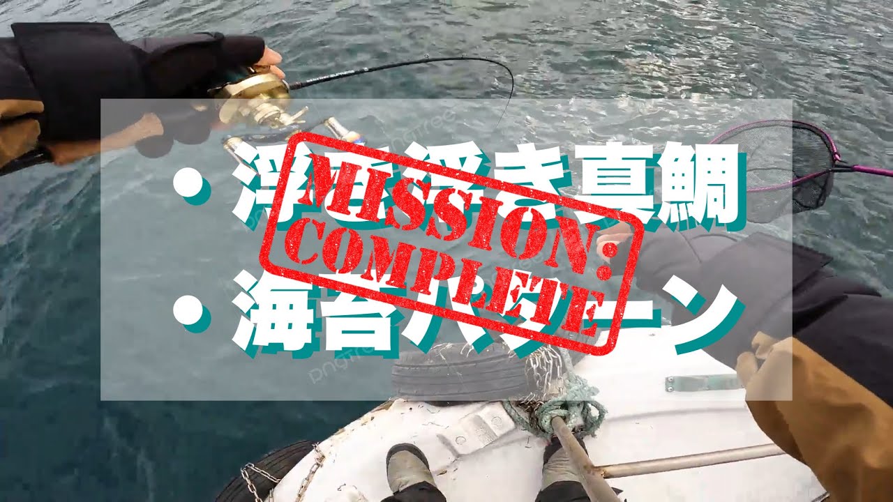 【明石タイラバ】厳しい真冬を大攻略‼️パターンを掴めば大爆釣🔥