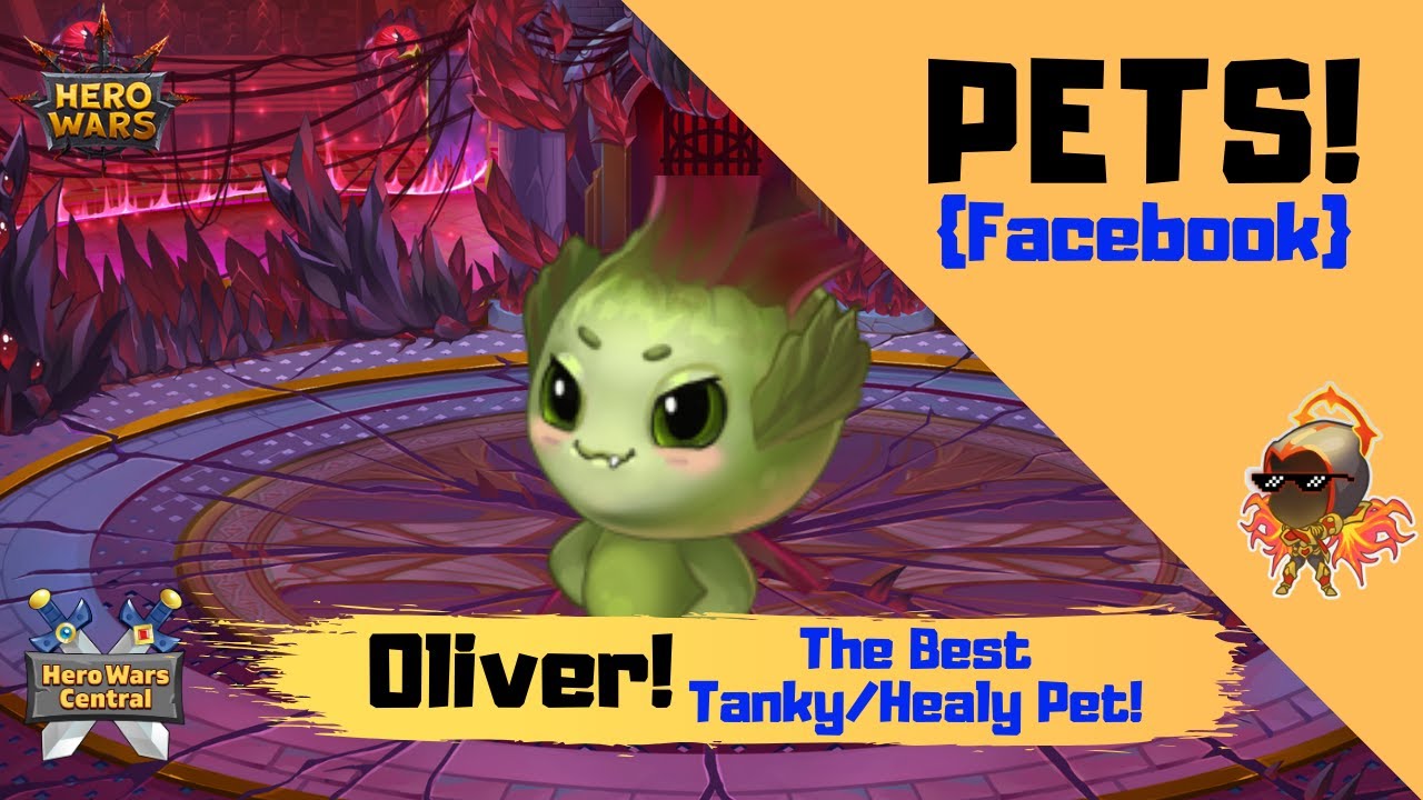 Hero Wars | The Best Pet for Tanks Teams! Oliver!