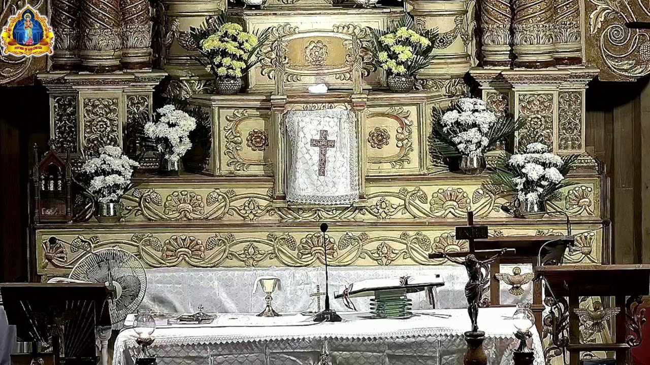 5th Week of   Ordinary Time,  Wednesday   11th Feb 2026.