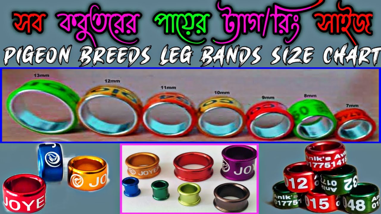 সব কবুতরের পায়ের ট্যাগ - রিং এর সাইজ চার্ট | All Pigeon leg bands - Rings Size Chart | কবুতরের ট্যাগ