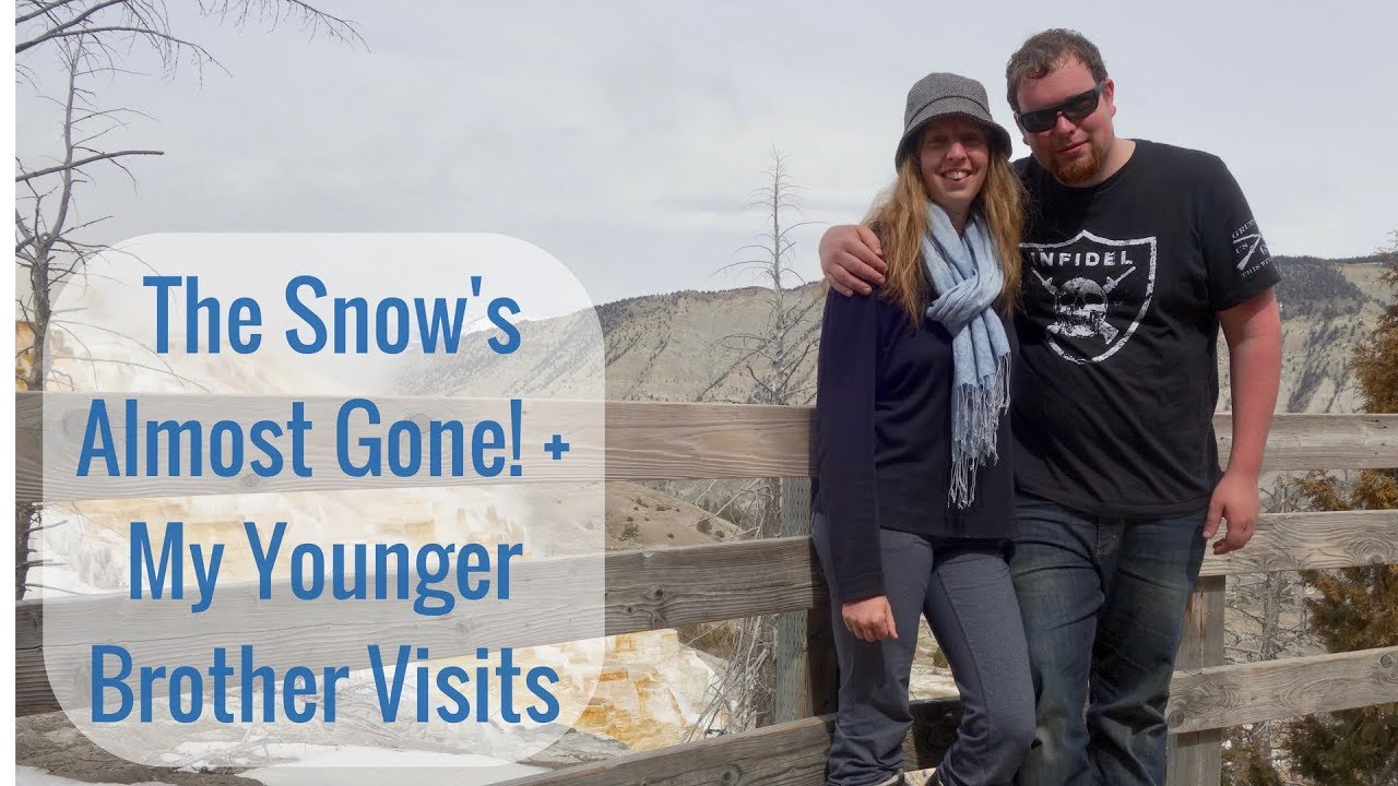 Life in a Tiny House called Fy Nyth - Catchup, Snow's (almost) Gone, and My Younger Brother Visits