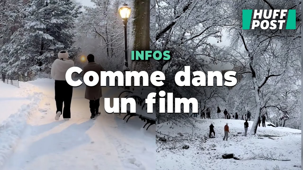 En pleine tempête neige, Central Park s'est transformé en paysage de film de Noël