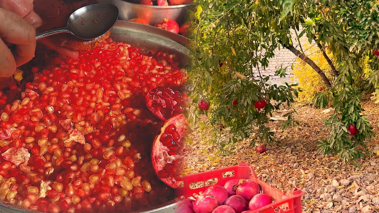 From Tree to Pot: Traditional Pomegranate Paste Making🍁