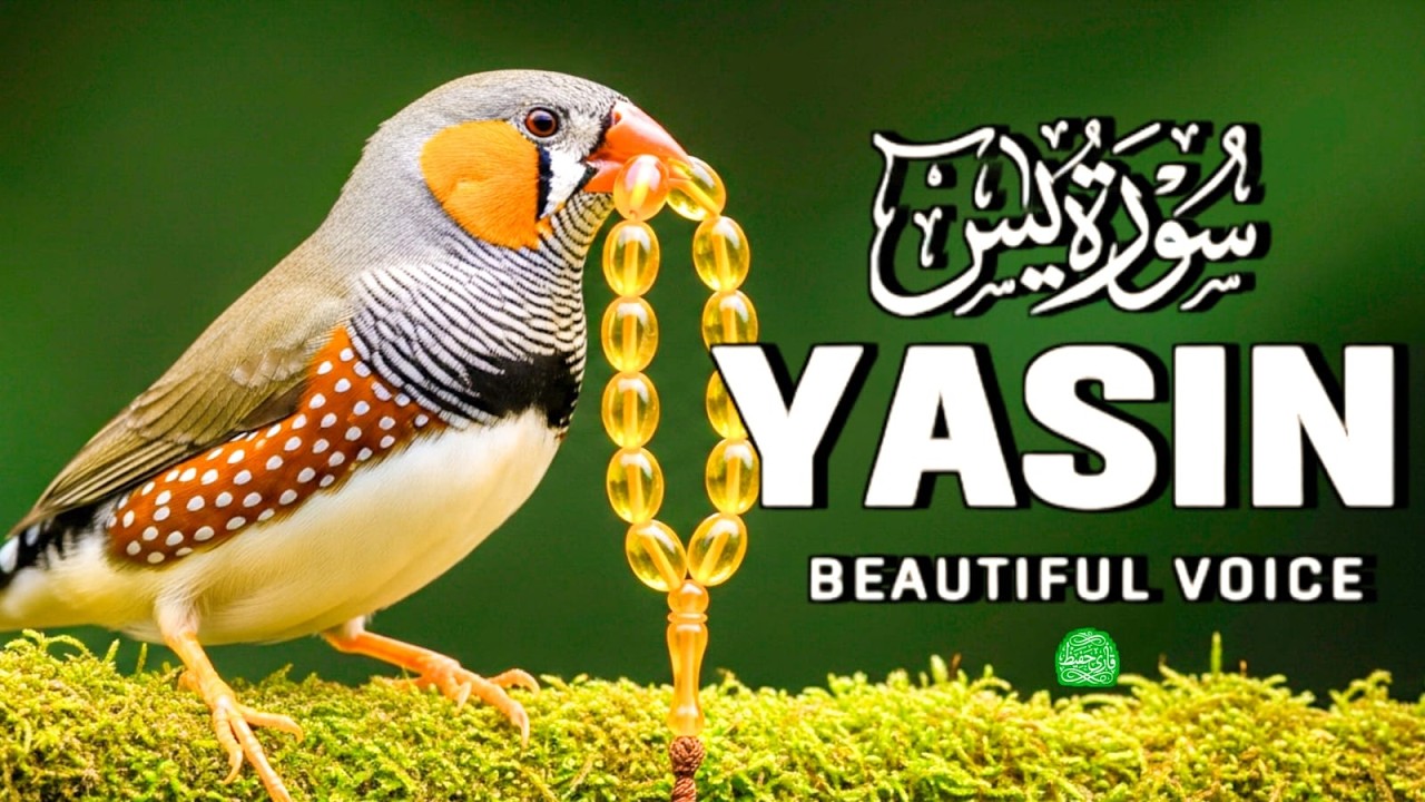 Surah Yaseen (سورة يس) Most Beautiful & Heart Touching Quran Recitation | Ultimate Relaxing Tilawat