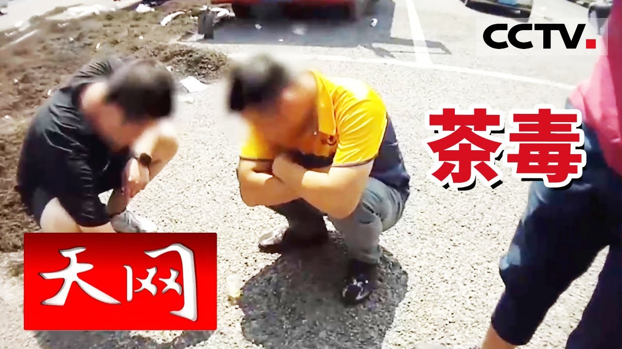 《天网》发霉的普洱茶里居然藏着大量毒品！检查结果令人震惊！20240328 | CCTV社会与法