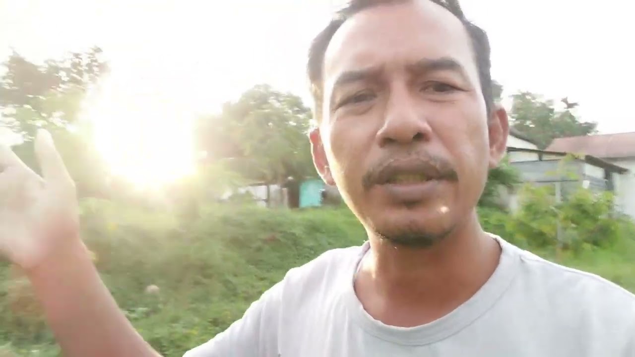 @Ingin sukses di masa tua  !! Tanam durian #