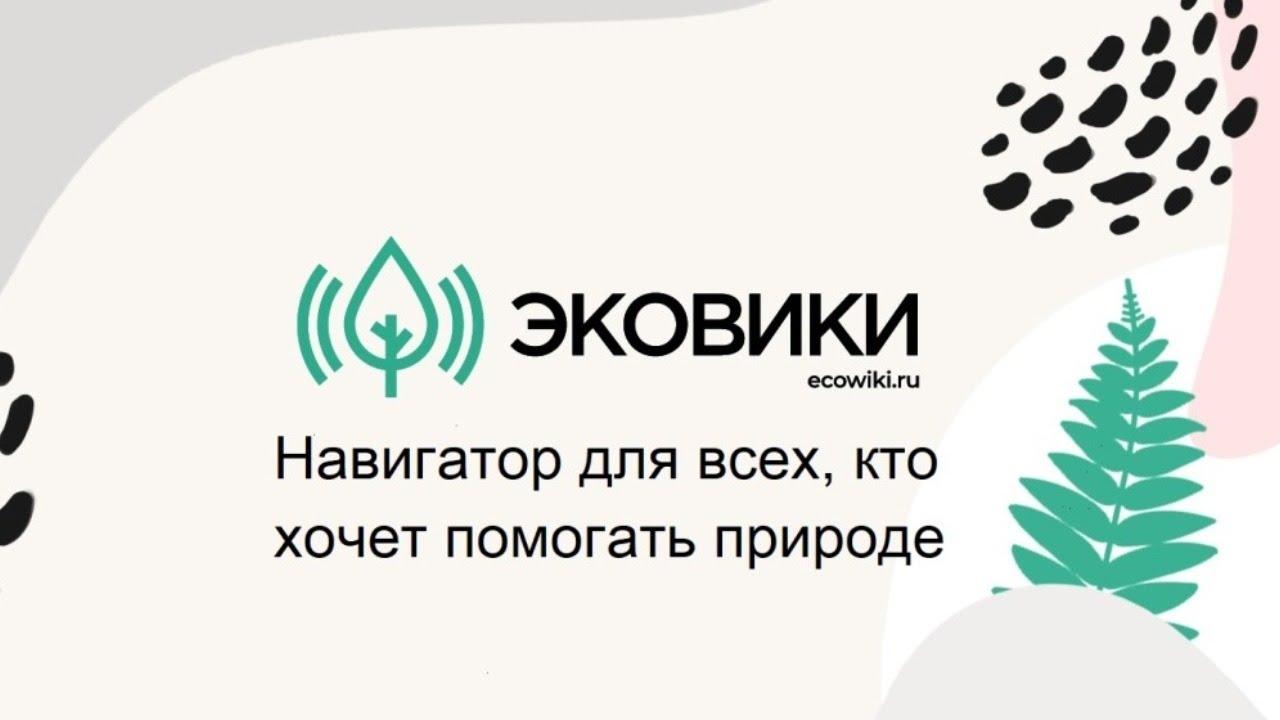 Ecowiki.ru &mdash; навигатор для всех, кто хочет помогать природе