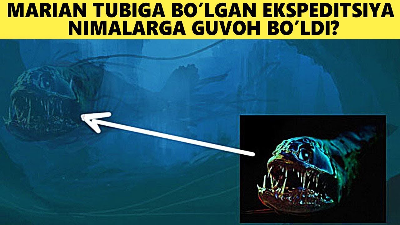 Okean Tubiga Ekspeditsiya Nimalarni Ko'rsatdi?