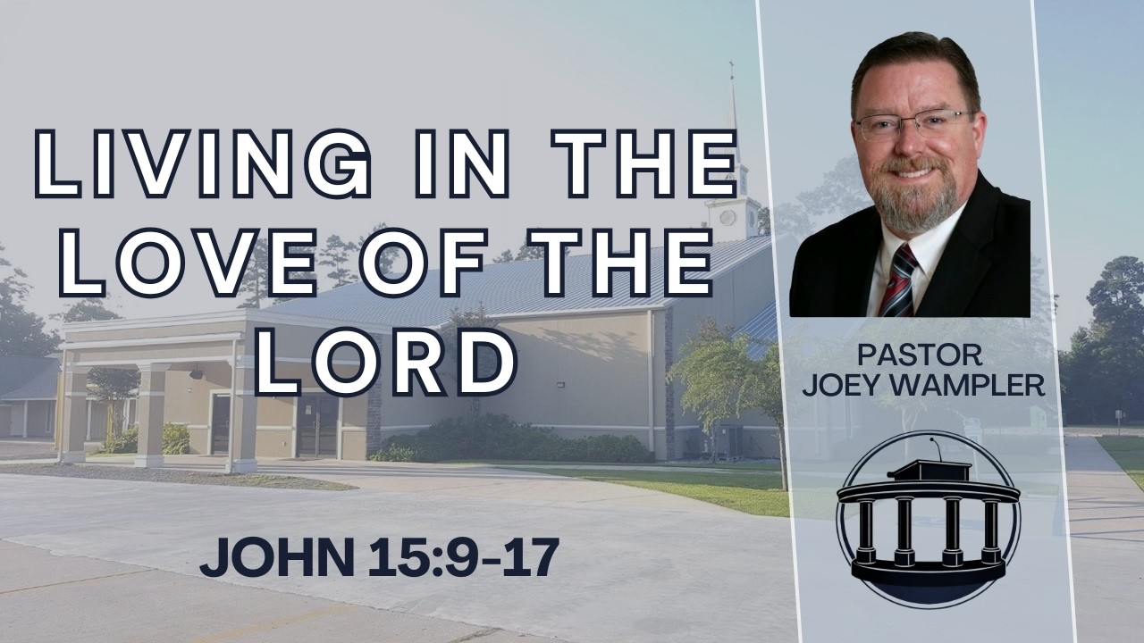 Living In the Love of the Lord (John 15:9-17)