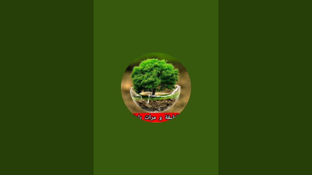 بدأت قناة 