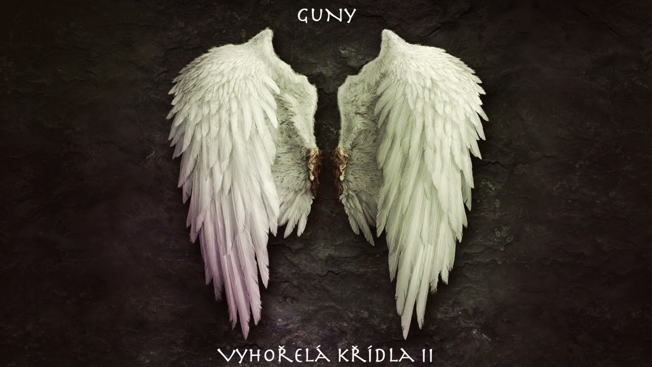 guNy - Vyhořel&aacute; kř&iacute;dla 2 (prod. by Veysigz)