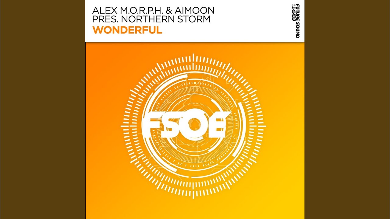Wonderful (Extended Mix)