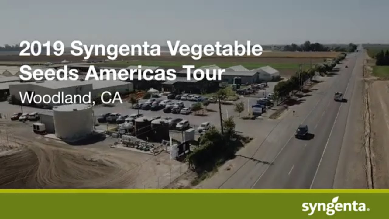 Syngenta Vegetable Seeds Americas Tour 2019