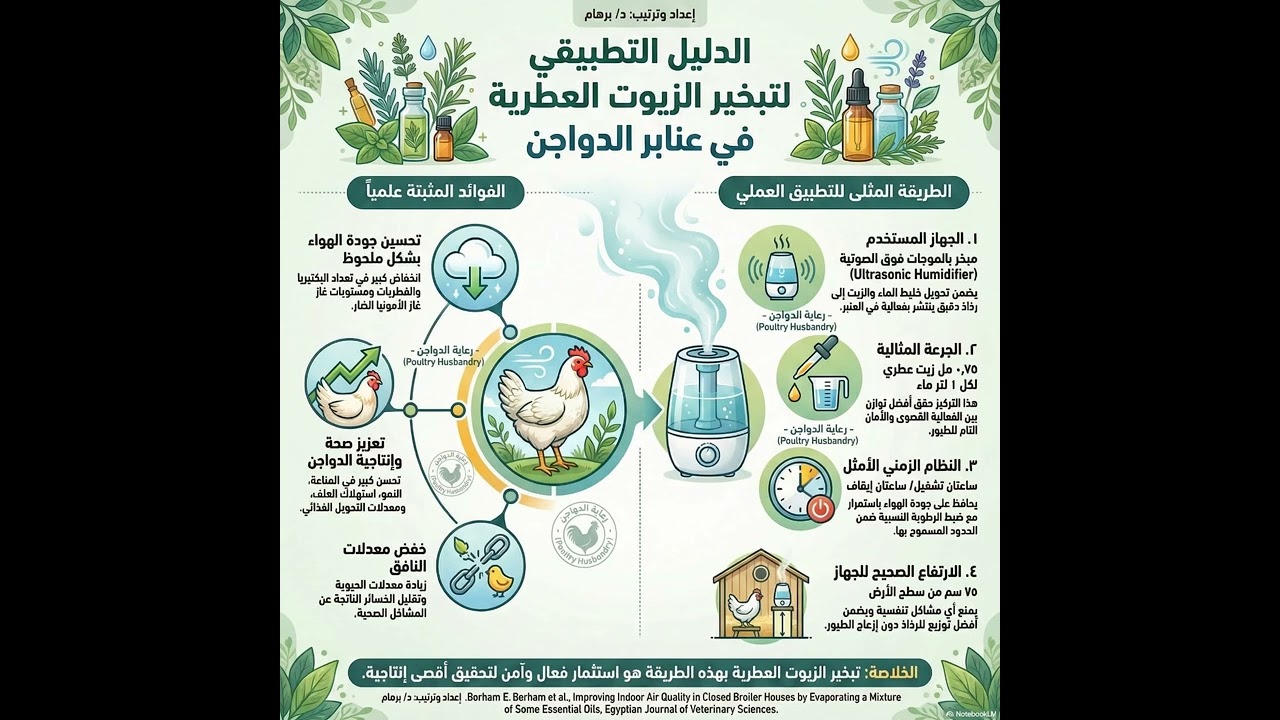 🌿 سحر الزيوت العطرية لدجاج التسمين🌿 The Magic of Essential Oils for Broiler Chickens