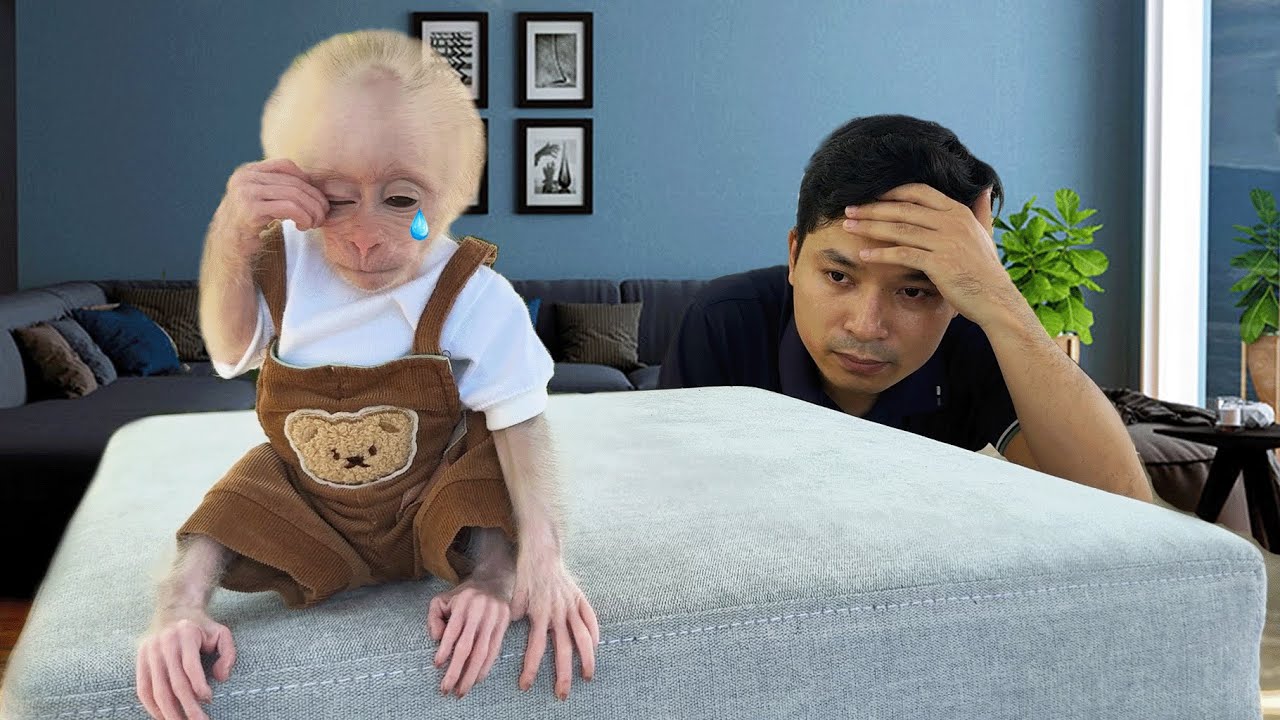 What did dad do to make the little monkey Xuka so sad?