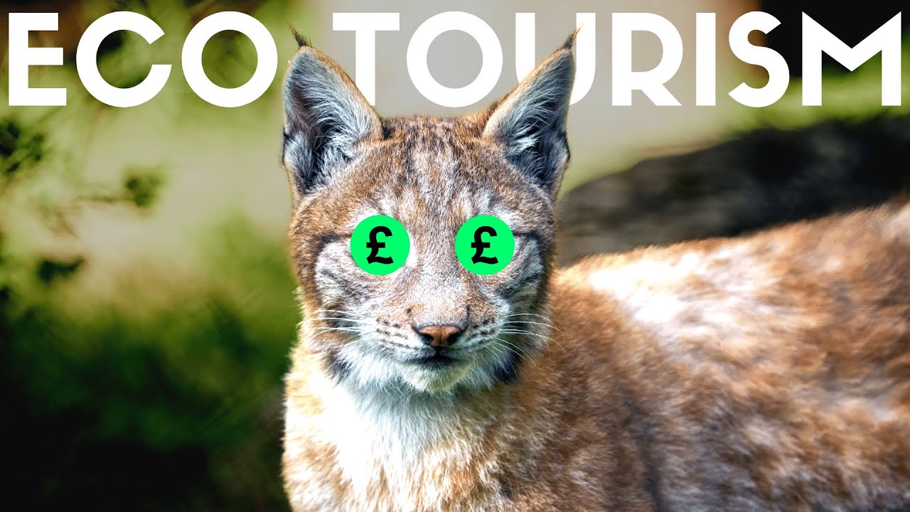 The Lynx Will Make The UK Millions - here's how