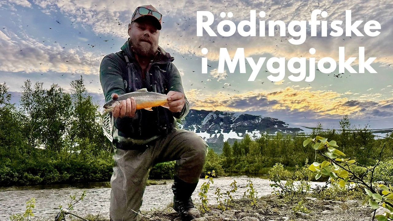Rödingfiske i Myggjokk
