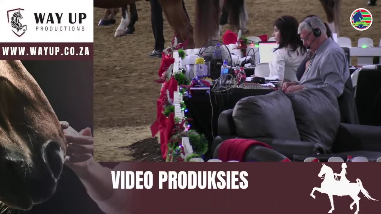 Perdeskou in Parys - Parys Christmas Festival