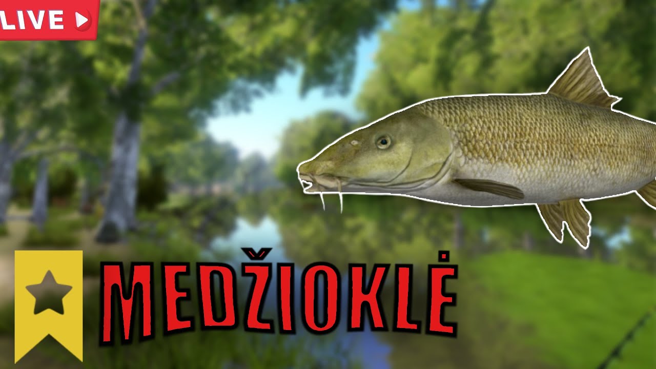 MEDŽIOJAM TROFĖJUS PER 2 ACCOUNTUS!🥶👑