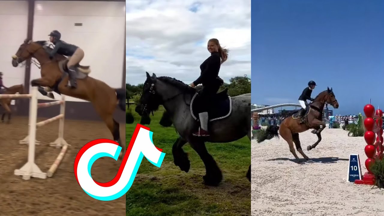 The Best HORSE 🐎 TikTok Compilation #109