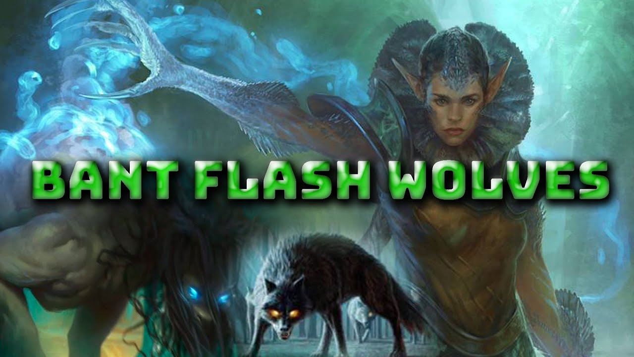 Bant Flash Wolves Arena Gameplay