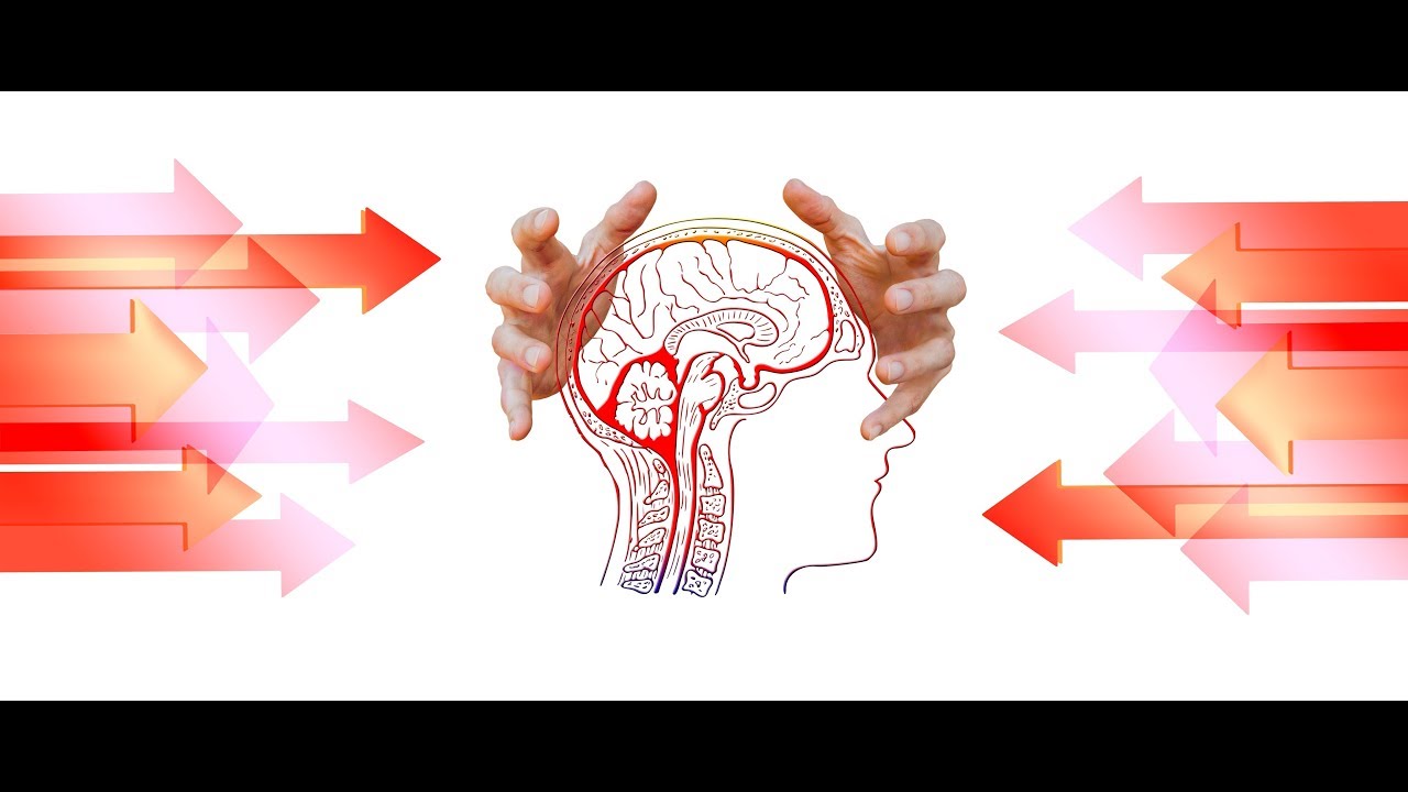 Roger Bartra: Antropología del cerebro