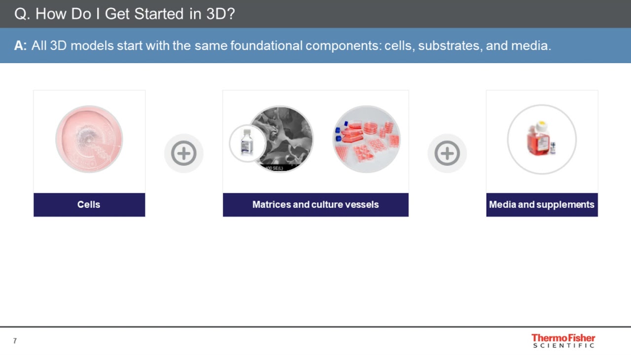Getting started in 3D: Ask an Expert