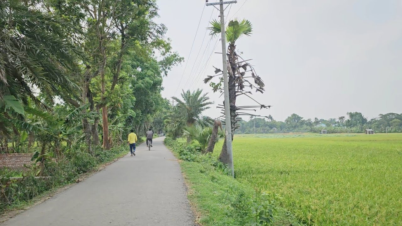 নরসিংদী শহরের কাছে এতো সুন্দর গ্রাম ভরতেরকান্দি | শিবপুর | Narsingdi | Landloper Shoishob 🤗