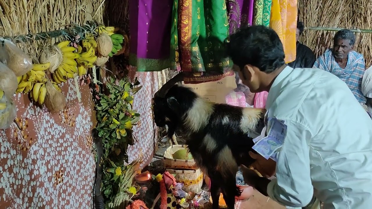 Mothikolasa vaddi narasimha ravana ramu gavu sambaram 2026 