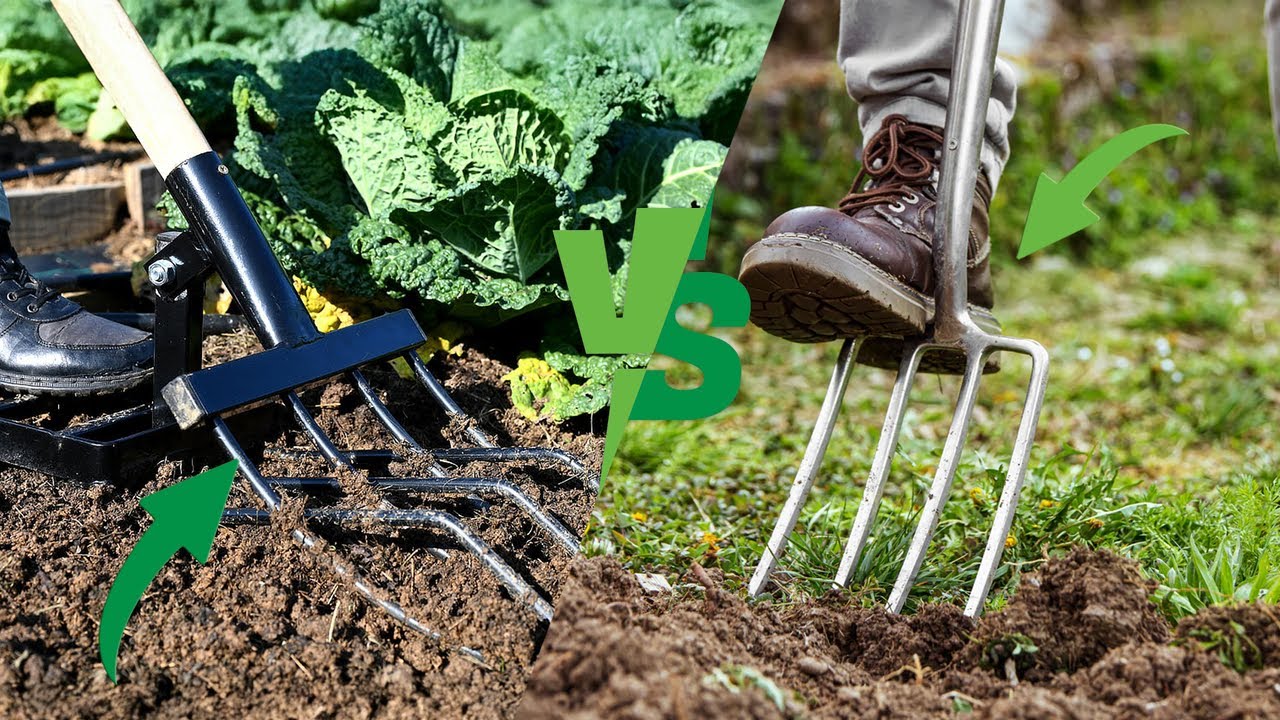 Spading Fork vs Digging Fork: Which Tool is Better?