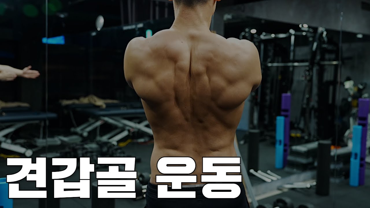 등운동 전에 먼저 해야하는 운동. 어깨통증 있다면 견갑골을 움직여야 합니다.